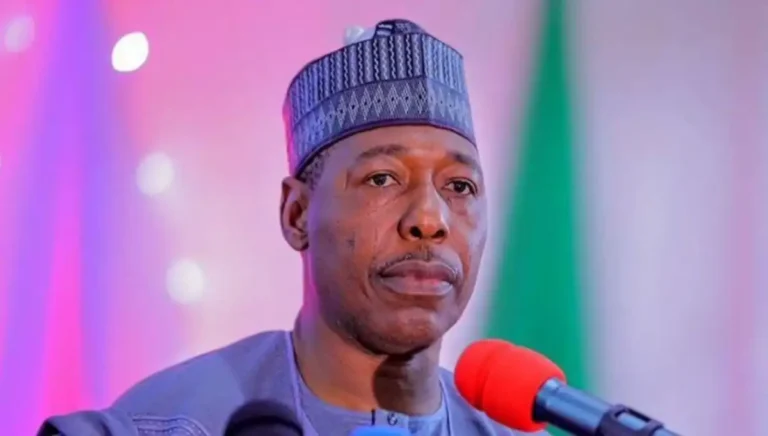 Borno Gov announces N40m grant for 400 women vocational trainees