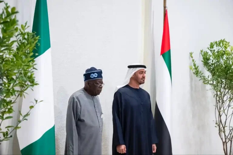 Tinubu Targets $3bn Annual Revenue From Nigeria Carbon Market