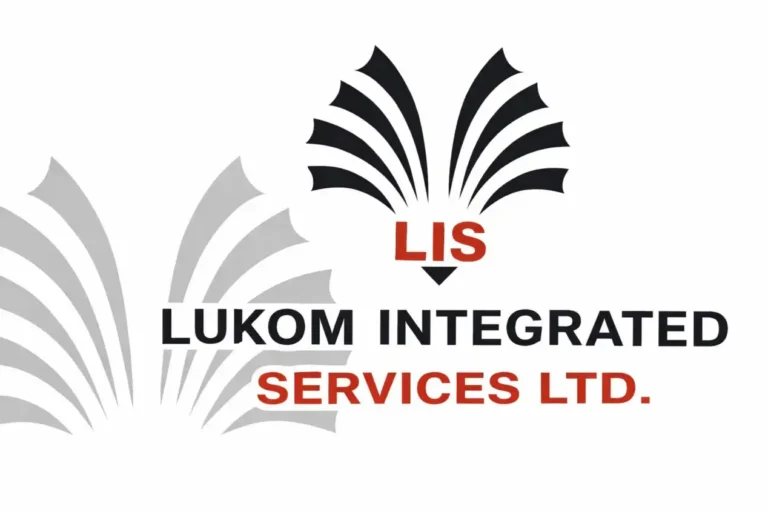 Firm launches Iseyin Agric Value Hub to boost Oyo food production