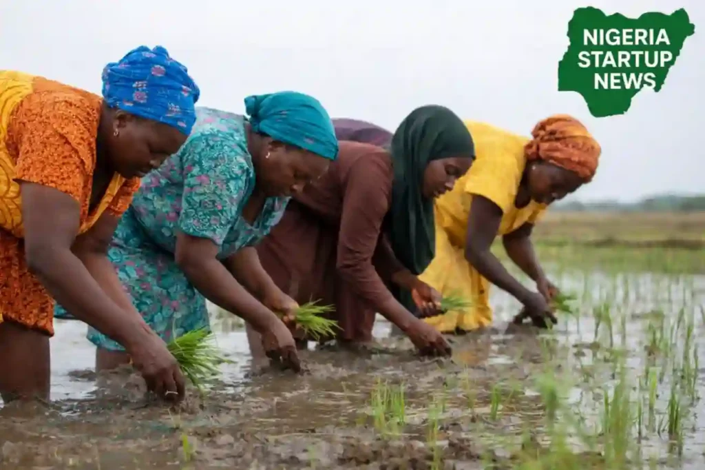 Canada, Germany to fund 5,000 women-led businesses in Nigeria