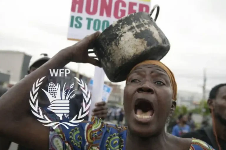 Aid cuts push 1.2 million in Northeast Nigeria into Hunger: WFP