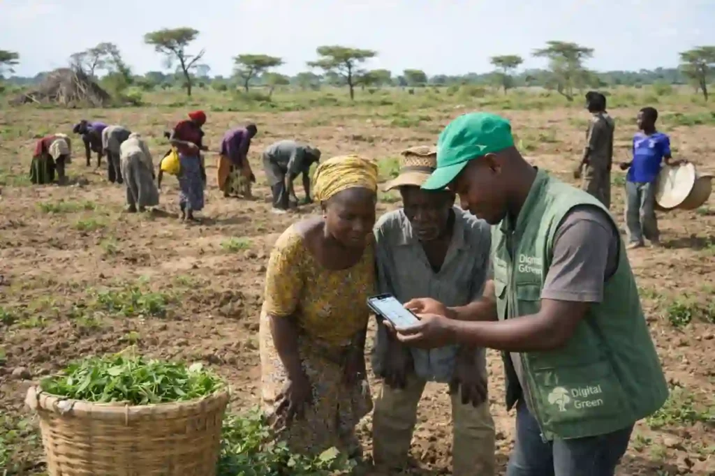 Digital Green Nigeria, IFAD deploy technology to help farmers