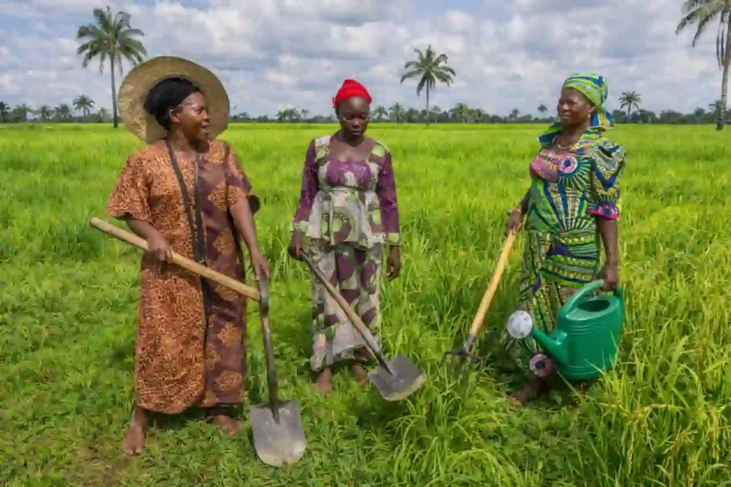 IITA, Mastercard Foundation create 90,000 jobs through I-Youth