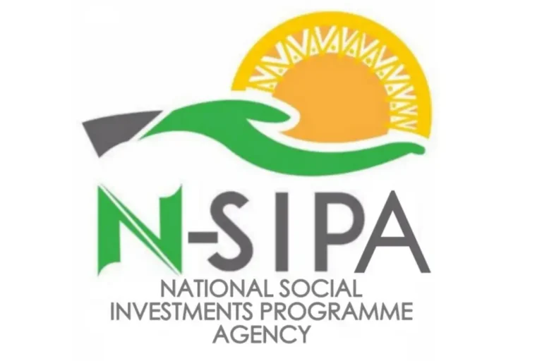 NSIPA to support over 15 million beneficiaries annually by 2027