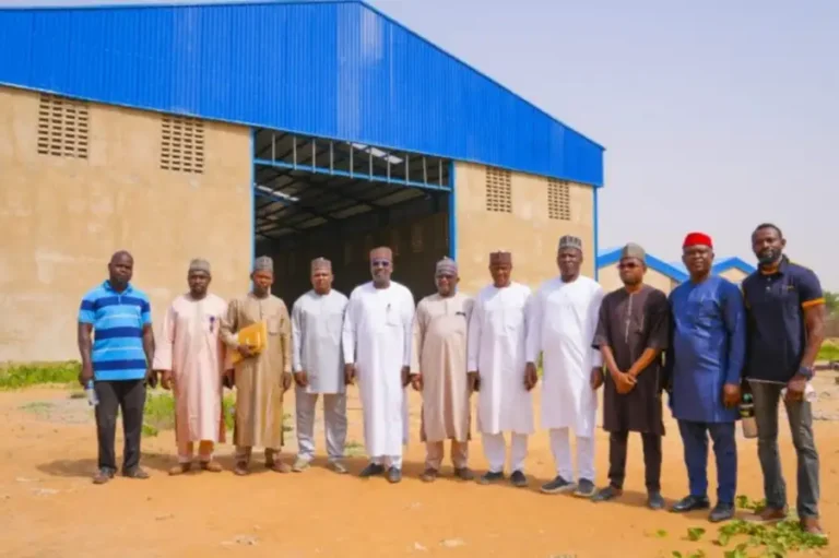 NASENI fertilizer plants to create 2,000 direct and over 20m indirect jobs