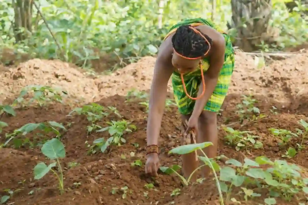 FG Distributes Free Farm Implements to Farmers in Imo