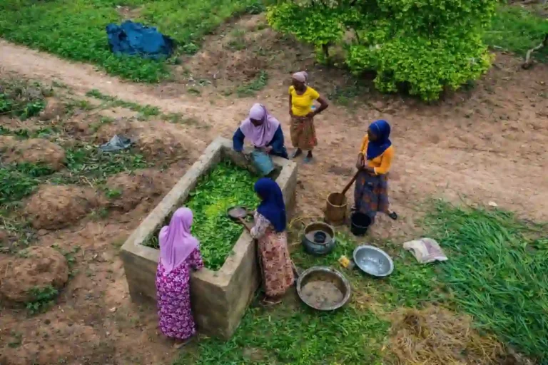 GEF Supports 94,000 Jobs, 115,000 Farmers in Northern Nigeria