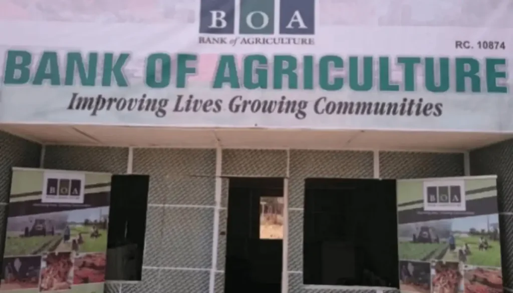 BoA signs $100,000 climate finance deal with DalaHill