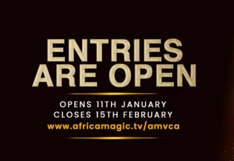 Entry: AMVCA 12th Edition Submissions