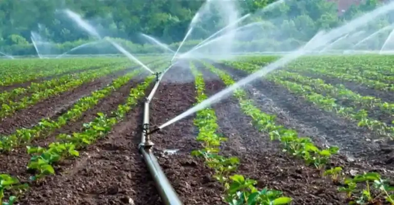 FG Says SPIN Irrigation Project in Benue Will Create Youth Jobs