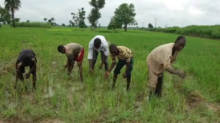 Senator launches agricultural empowerment scheme in Ibarapa