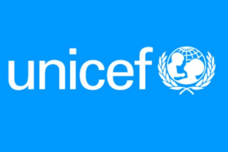 UNICEF equips 100,000 youths with digital and vocational skills in Borno