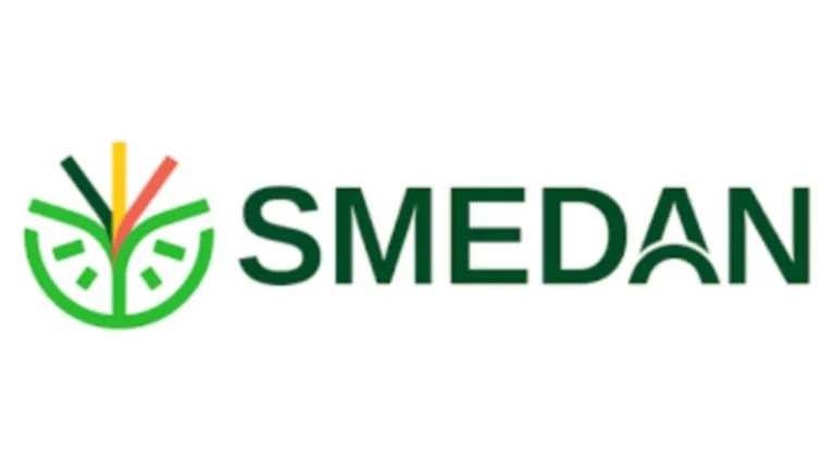 SMEDAN urges tax reforms to protect low-income earners, MSMEs