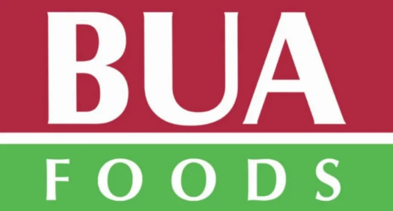 BUA Foods profit jumps 91% to N507.7bn as revenue hits N1.8tn in 2025