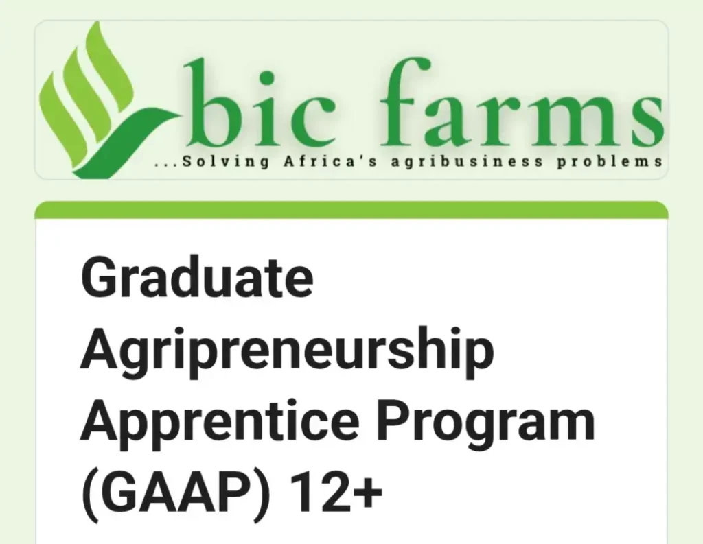 Bic Farms Opens GAAP 12+ Agripreneurship Program for Graduates