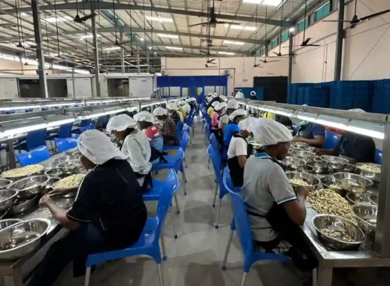 Nigerians to secure jobs in Ogun $75m Cashew Processing Plant