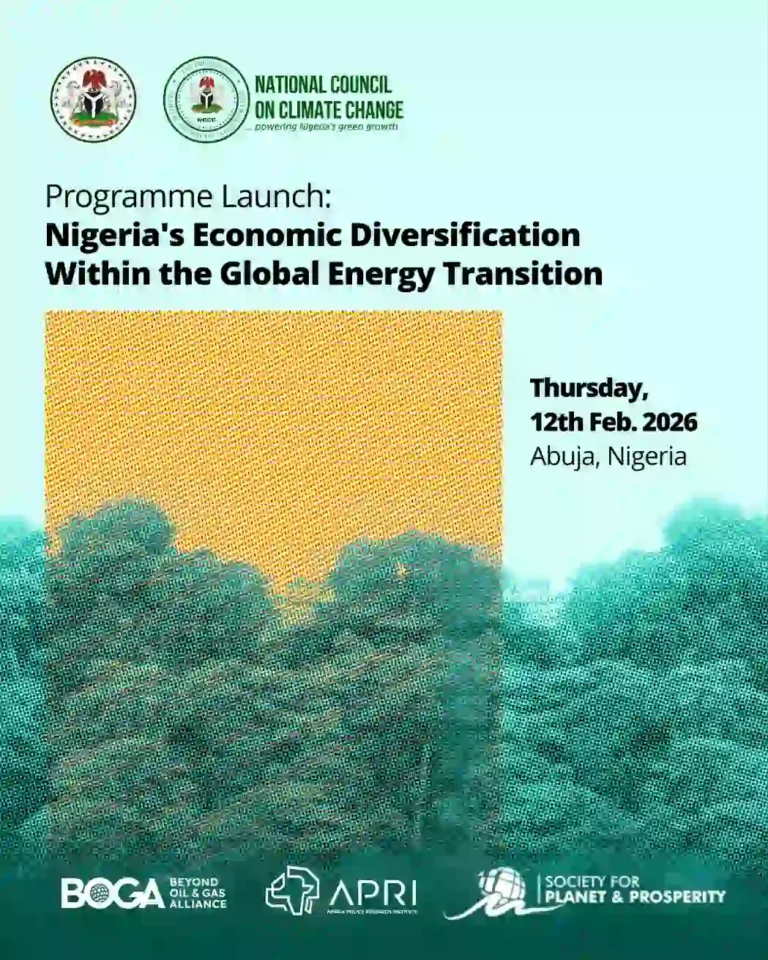 Nigeria to launch BOGA Fund Programme for economy beyond oil and gas