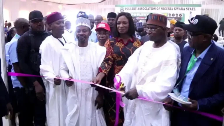 FG to accelerate National Ranching Policy, target $74bn livestock GDP