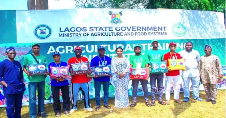 Lagos LAP Creates 15,000 Jobs, Trains 5,000 Youths in Agribusiness