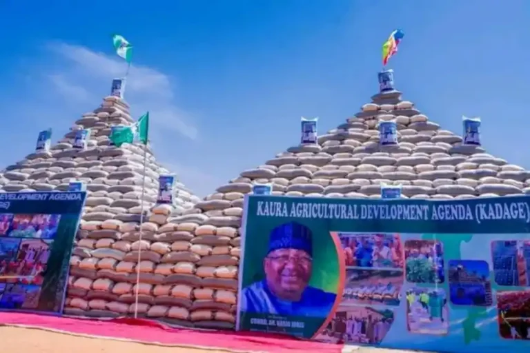 Kebbi Showcases KADAGE Gains at 61st Argungu Festival Agricultural Show