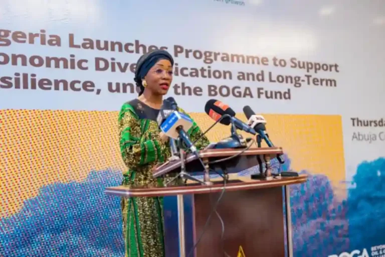 FG launches Nigeria Beyond Oil and Gas Alliance (BOGA) fund programme