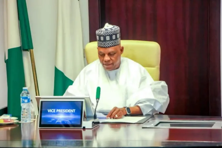 Shettima Urges Banks, Agencies to Expand Support for MSMEs