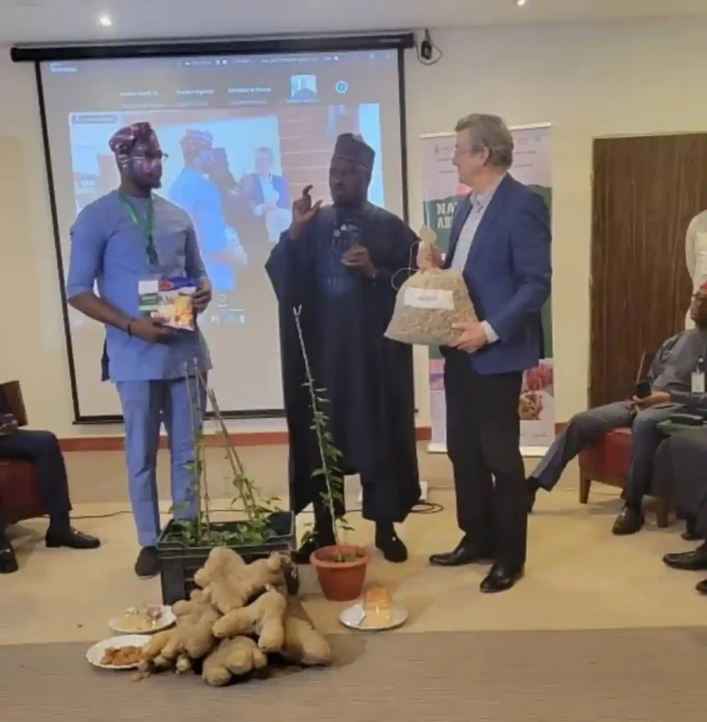 FG transforms root and tuber programme into RTIED for export growth