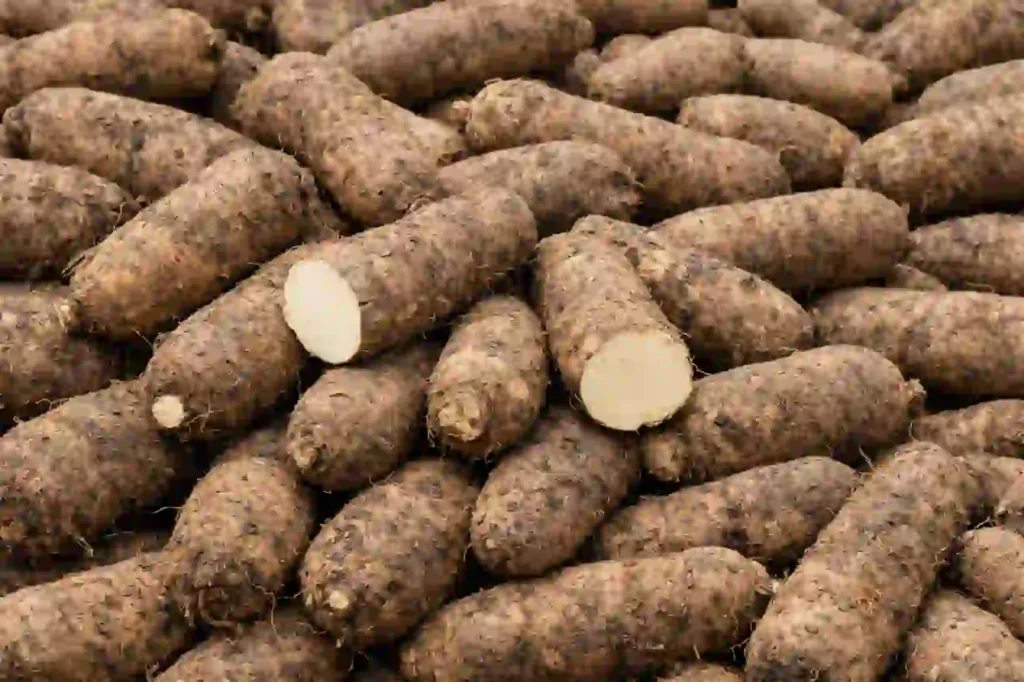 FG: Nigeria Produces 67.2m Metric Tonnes of Yam, Faces 50m Shortfall