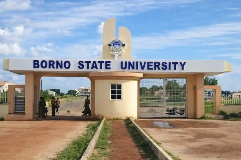 Borno State University to Train Female Students on AI and Data Analytics