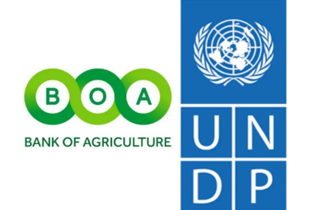 UNDP, BOA to Launch One Million Hectare Tree Crop Programme