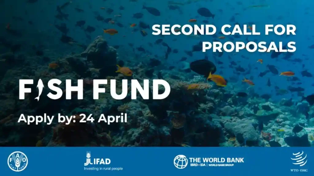WTO Fish Fund Opens Second Call for Fisheries Subsidy Grants