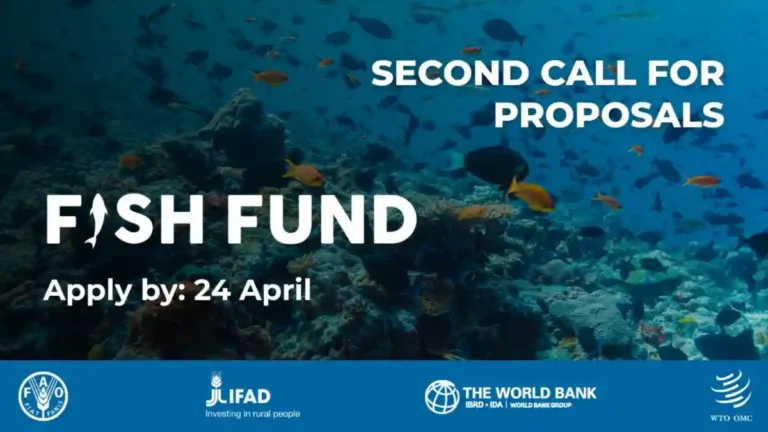 WTO Fish Fund Opens Second Call for Fisheries Subsidy Grants