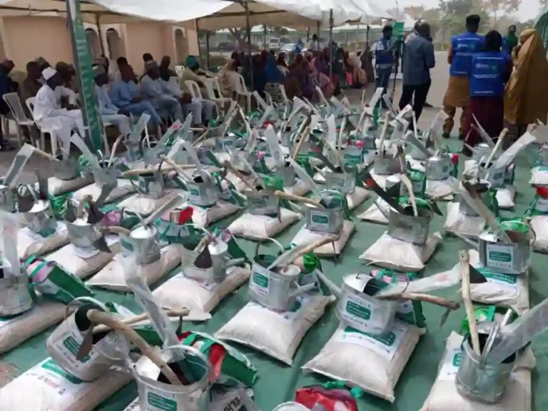 AYGF trains Katsina farmers, distributes agribusiness kits