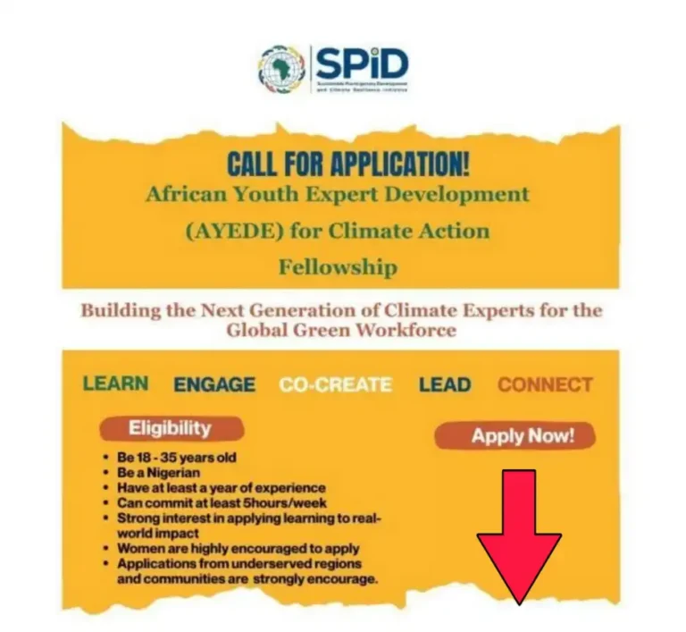 AYEDE Climate Action Fellowship 2026 Opens for Young Nigerians