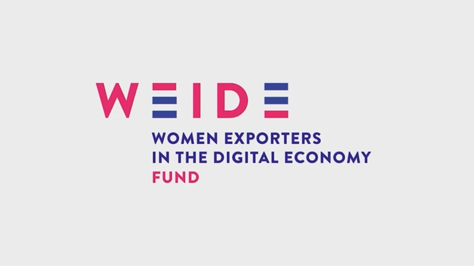 WEIDE Fund to disburse $1.76m grants to women businesses, including Nigeria