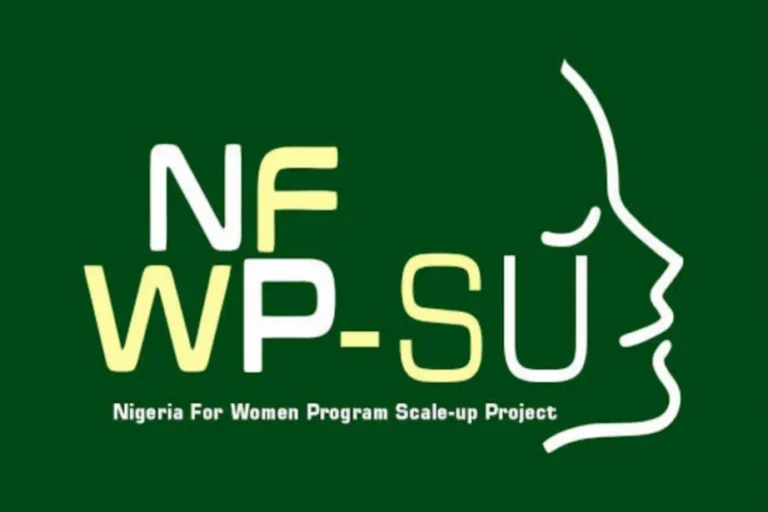 Ogun registers 1,629 women groups under NFWP Scale-Up