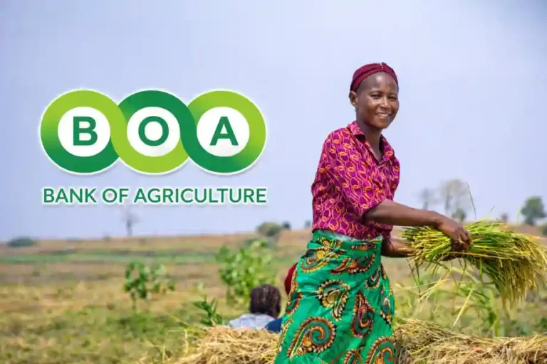 BOA disburses ₦8bn loans to women farmers and entrepreneurs