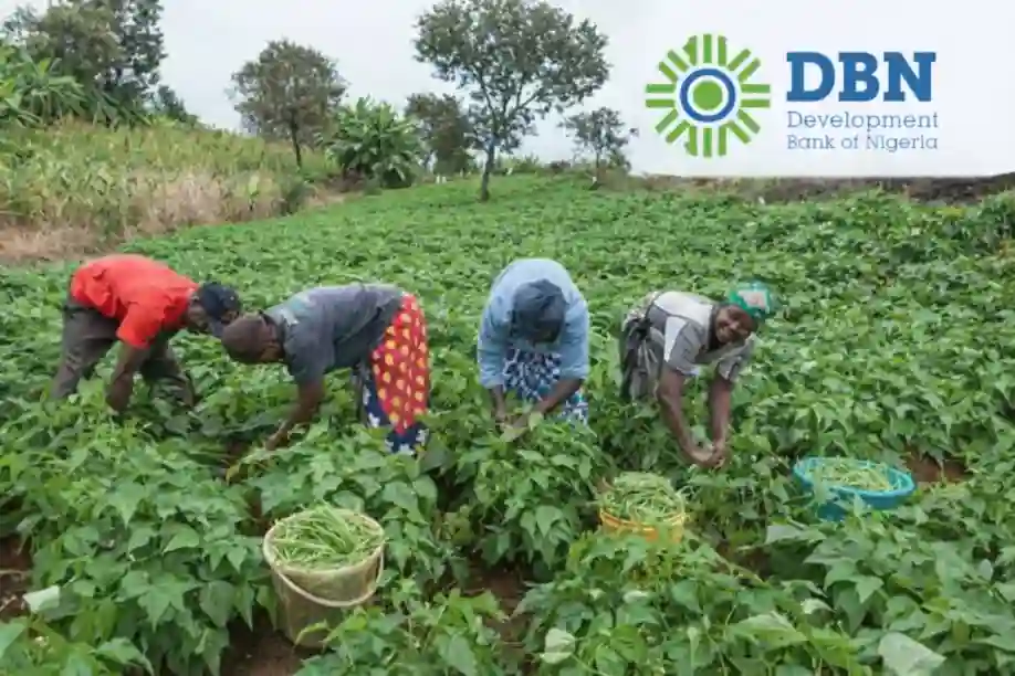 DBN Trains Nigerian Livestock Farmers on Business Planning