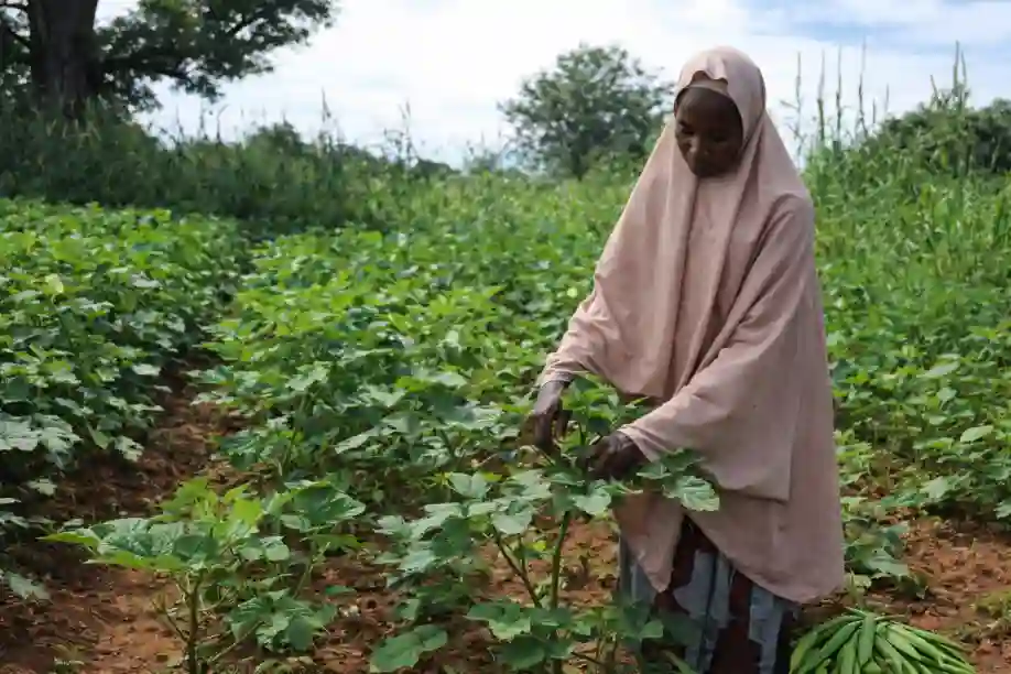 Kaduna launches policy to improve women’s access to land, finance