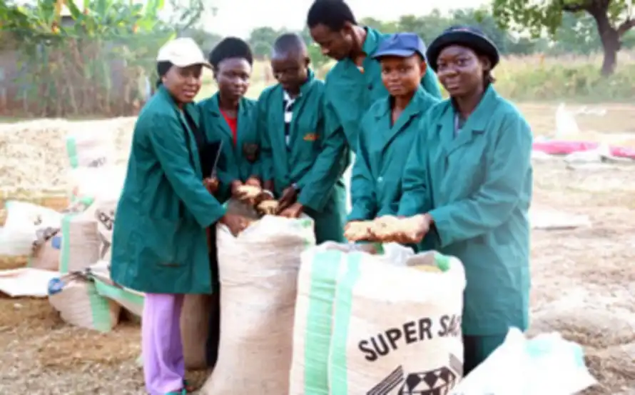 How youths may Apply for YALTF agribusiness training