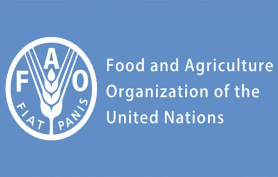 FG, FAO approve $350,000 support to contain Bird Flu outbreak