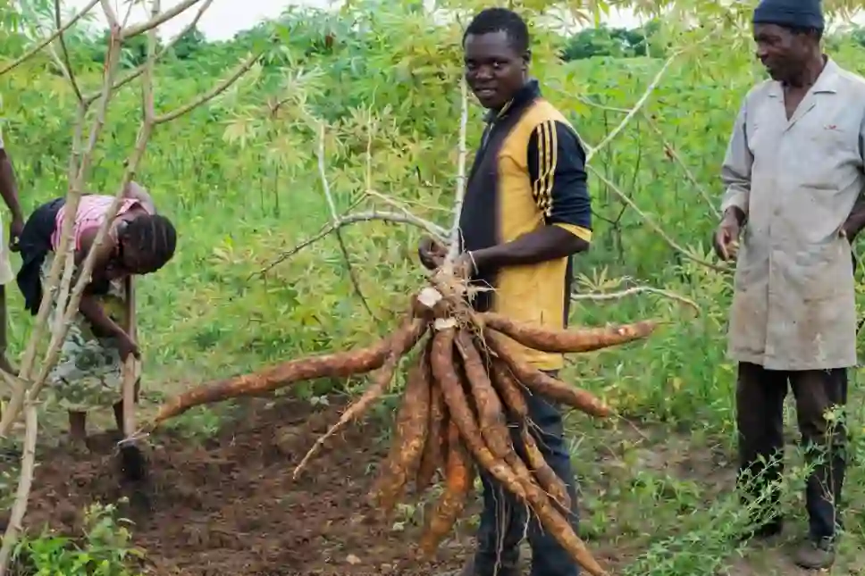 BASEP trains Benue agribusiness startups, supports investment readiness