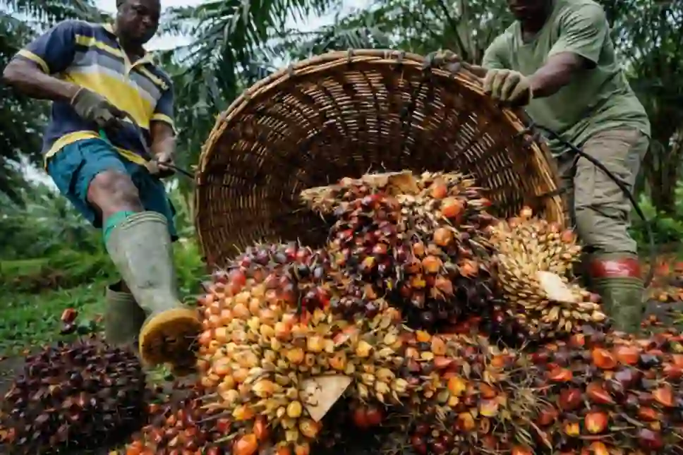 Abia to create 5,000 jobs through $200m Presco palm oil investment