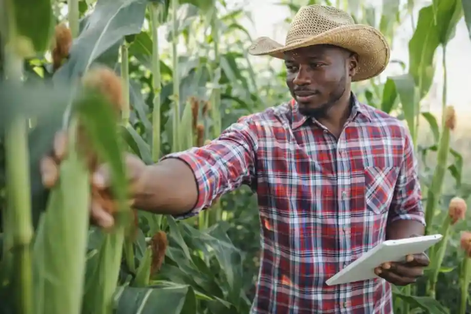 3 Common Agriculture Business Myths That Mislead New Agripreneurs