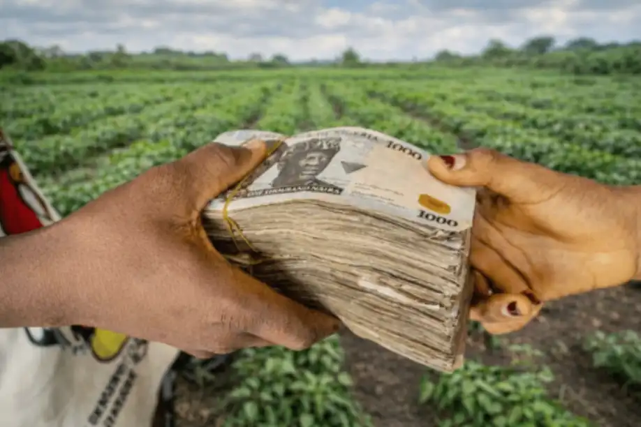 2 million Nigerian households to gain income under new FG agric plan