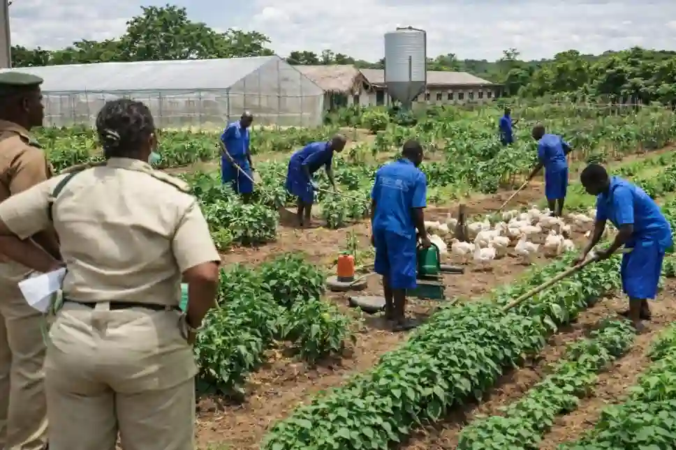 FG to Turn Correctional Centres into Agribusiness Hubs