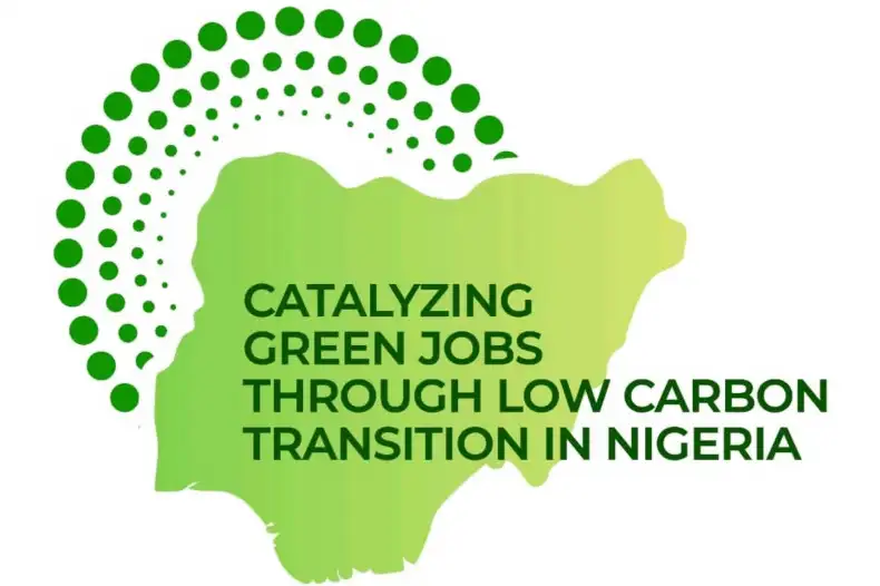 Youth Green Jobs Fellowship: Application Guide and Selection Tips