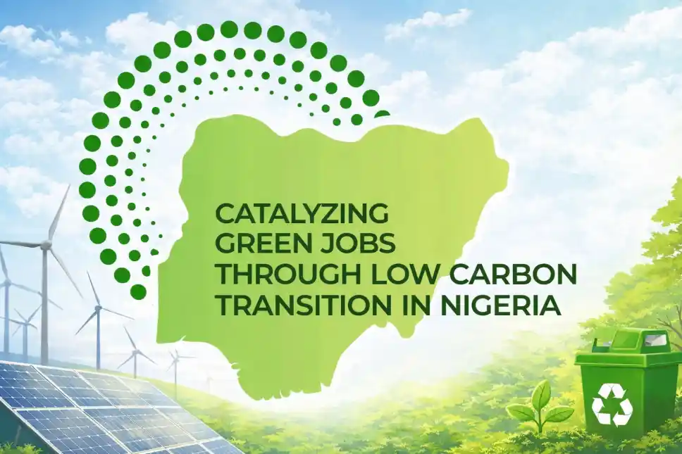 Experts, Partners launch Green Economy Fellowship to build youth skills