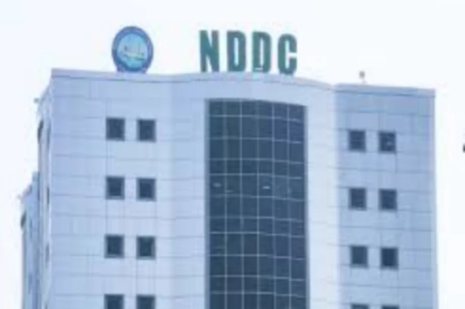 How to apply for NDDC 2026/2027 Foreign scholarship, available courses (guide)