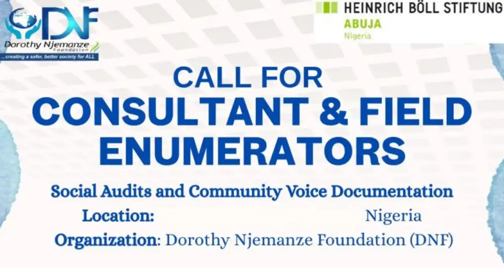Dorothy Njemanze Foundation Invites Field Enumerators, Consultants 2026